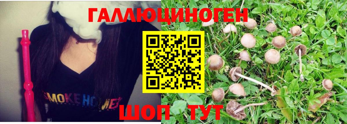 Галлюциногенные грибы Psilocybe  купить  сайты  Уварово  Вход с VPN 