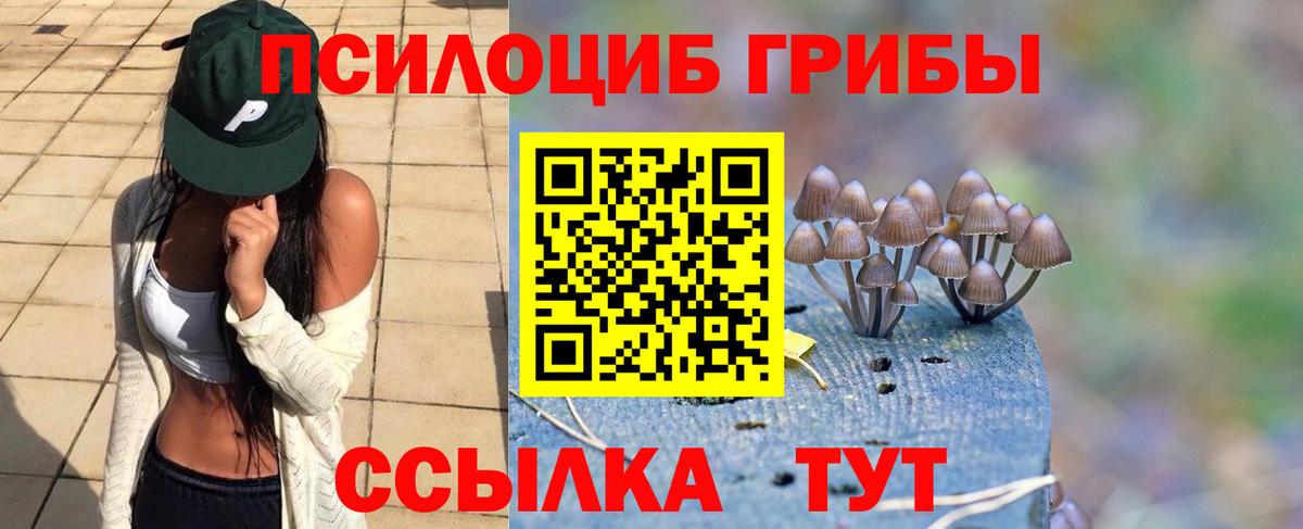 Галлюциногенные грибы Psilocybine cubensis Уварово